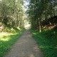 Het pad naar de fusilladeplaats en het Nationaal Monument Kamp Amersfoort, ook wel De Stenen Man 