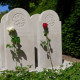 Dodenherdenking 2020, roos op het oorlogsgraf van Arie Kors Groeneveld in Sliedrecht