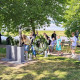 Leggen witte rozen door leerlingen