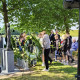 Leggen van witte rozen