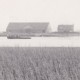 De boerderij van Kadijk in de Sliedrechtse Biesbosch, gefotografeerd rond 1950